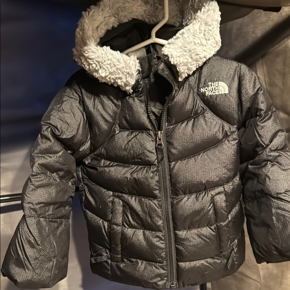 The North Face Charcoal Puffer Jacket with Gray Hood